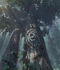 Ancient tree in a Bandlewood marked by a glowing spiral portal symbol