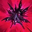 Naafiri R icon Naafiri R - Hounds’ Pursuit Ability Icon