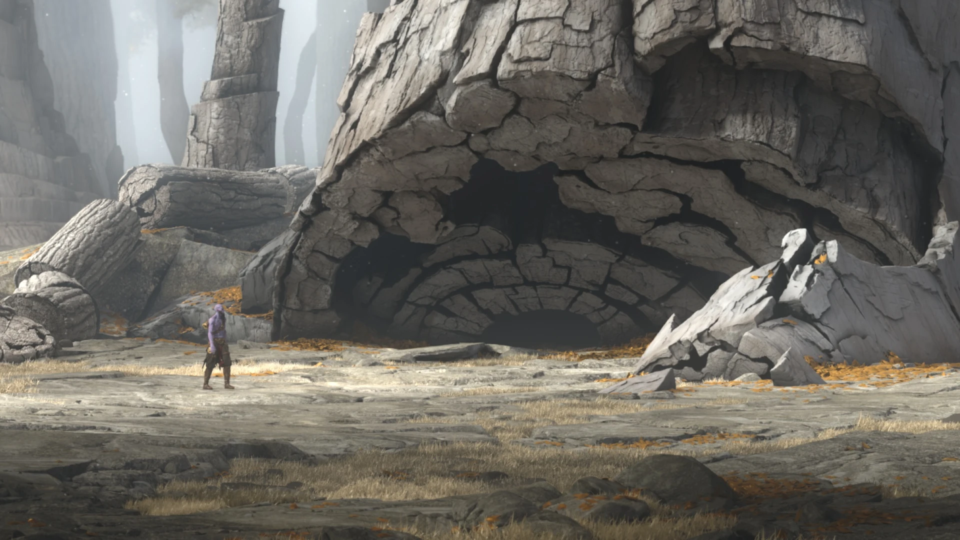 Demacian Vault Entrance to the Demacian Vault beneath ancient petricite groves