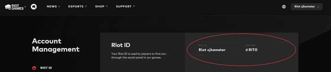 Riot ID account settings Riot Account settings showing a Riot ID with a Game Name and tagline